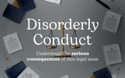 What is Disorderly Conduct?