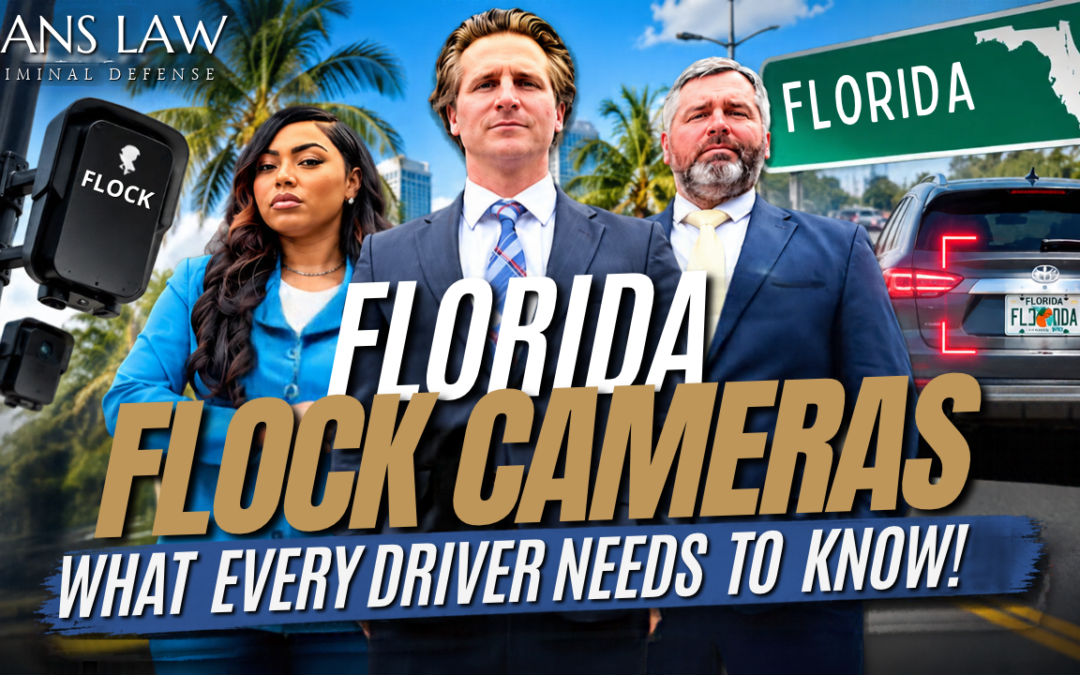 Florida Flock Cameras